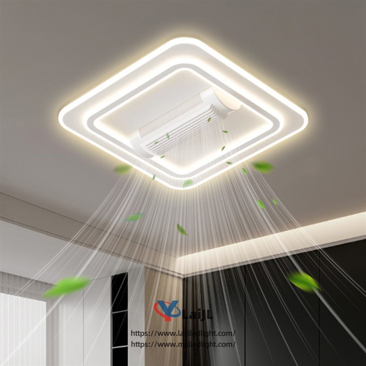 Ceiling Fan Light in Living Room